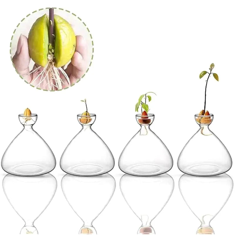 אגרטל זכוכית עגול